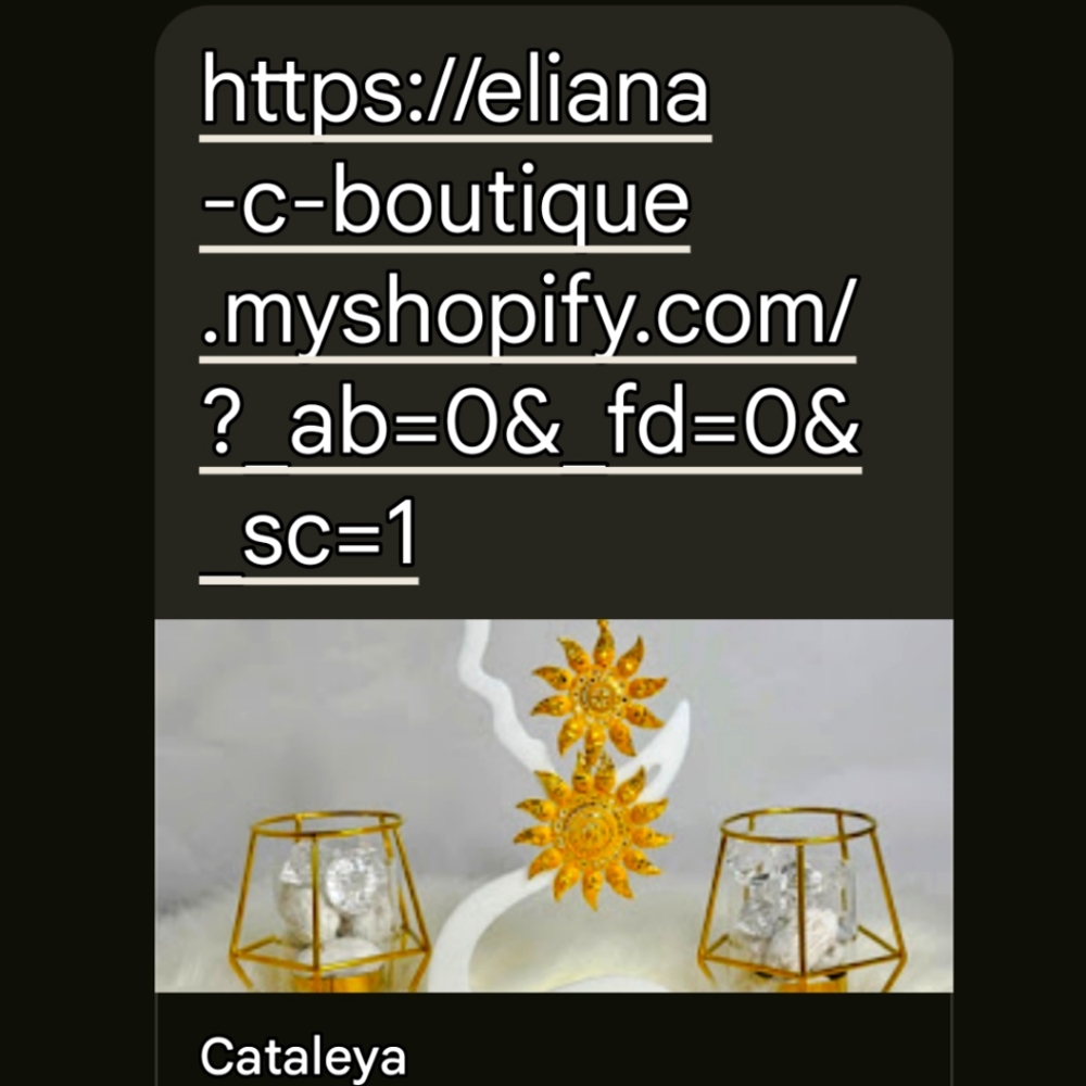 Earrings